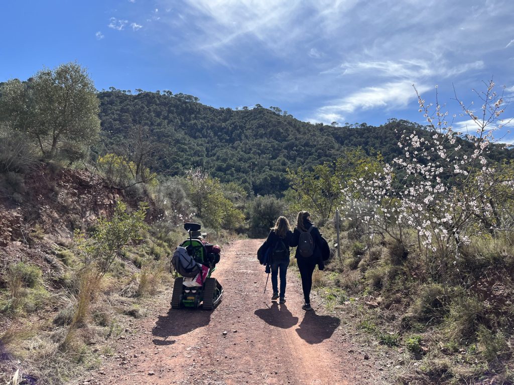 De paseo por el campo entre árboles en flor