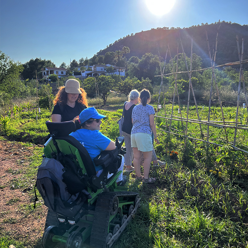 Excursión en la huerta viendo las diferentes plantas