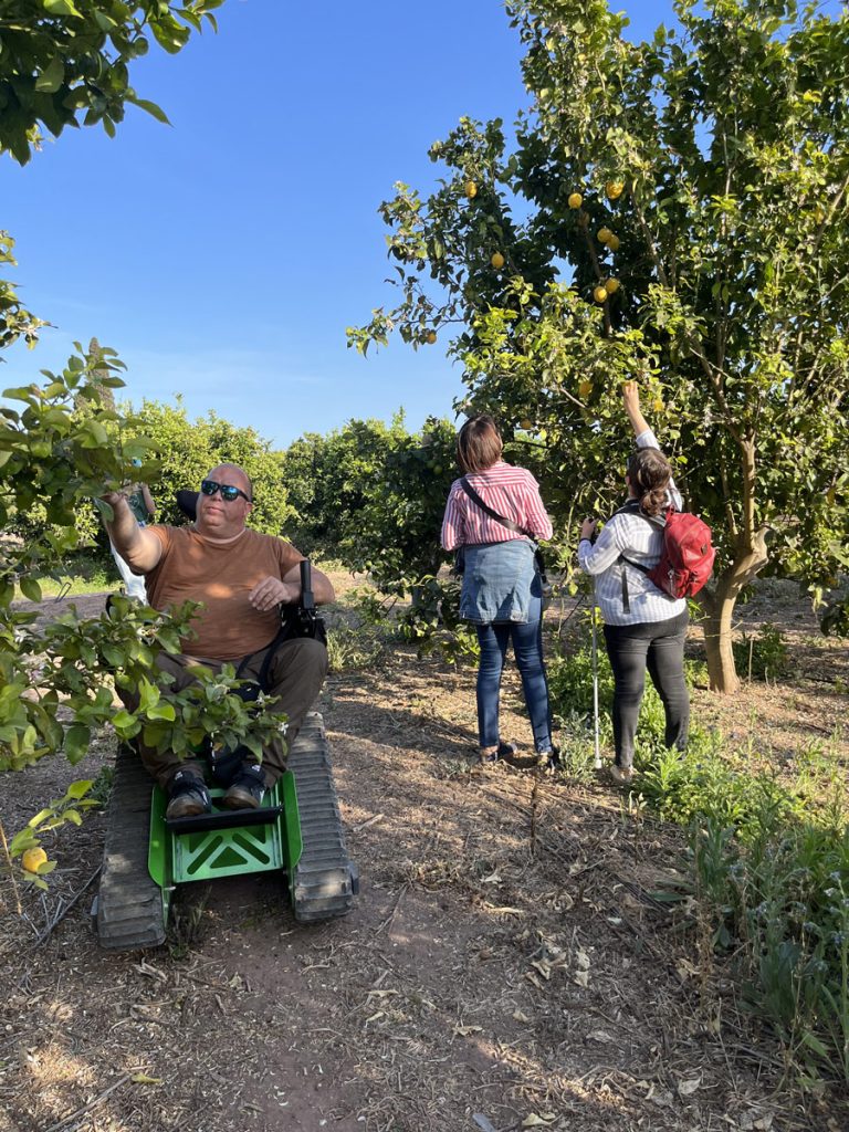 Cogiendo frutas de los árboles en la excursión a la huerta