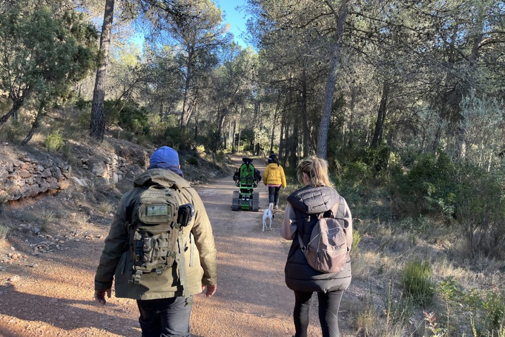 Disfrutando de un paseo en familia por el bosque